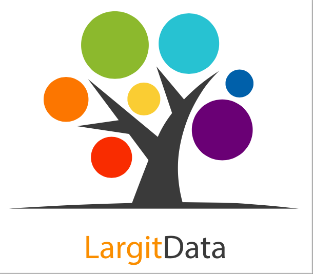 大數軟體有限公司